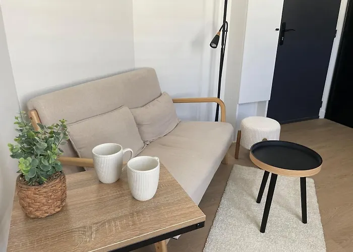 2 Pièces Cosy Avec Parking Privé Appartamento
